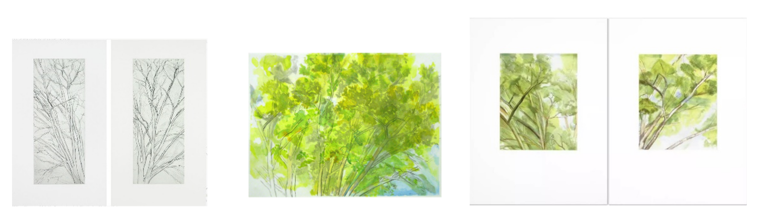 From left to right: Winter Pin Oak Diptych (A & B), 2005; Pin Oak Crown 2006; Pin Oak Diptych A & B, 2003