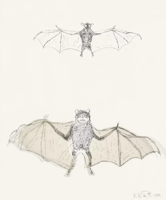 Animals (Bat), 1998