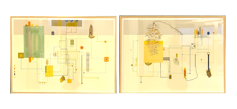 DOXYCYCLOAI: City Safe Evacuation Plan, 2005