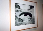 Goat Lake Ice Cavern, Sawtooth Range, Idaho, 1981
