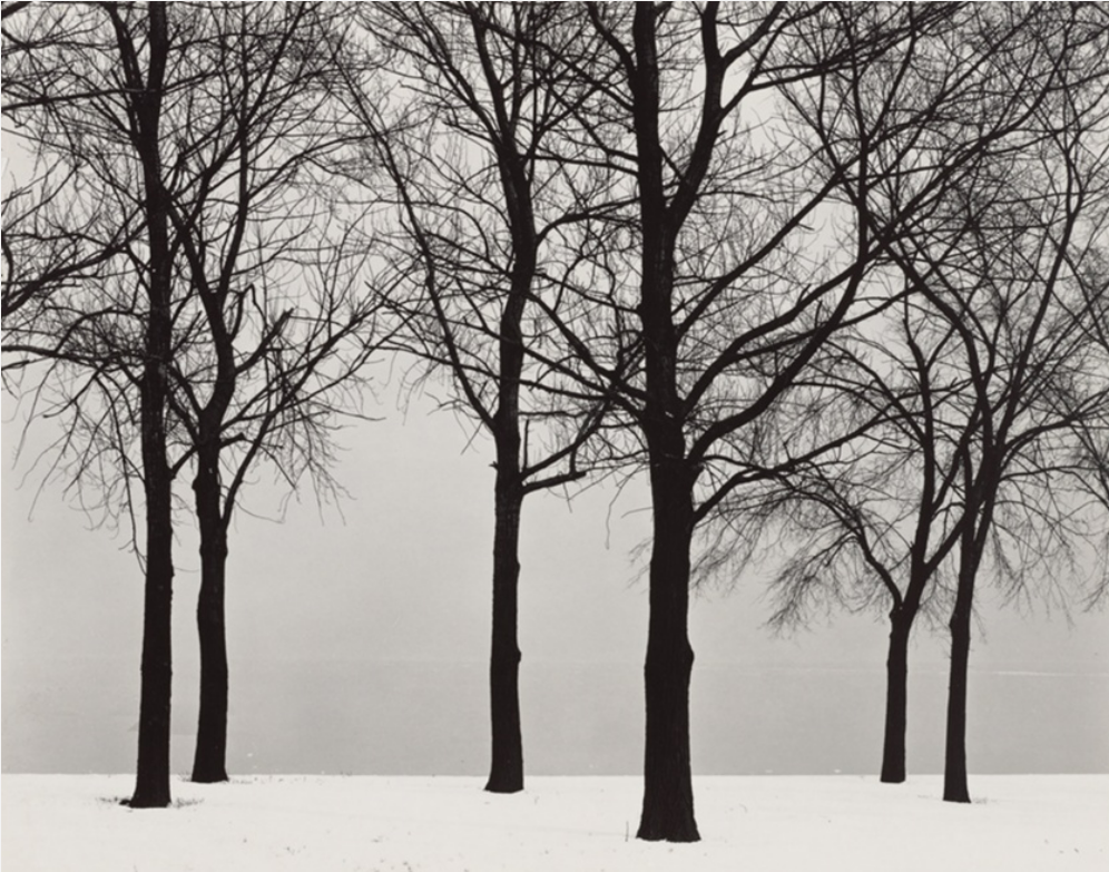 Chicago About 1950 (Six Trees), c. 1950