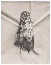 Barred Owl, 1995