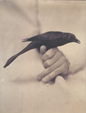 Grackle, 1997