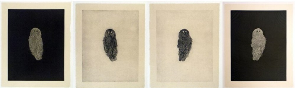 Owls, 1998