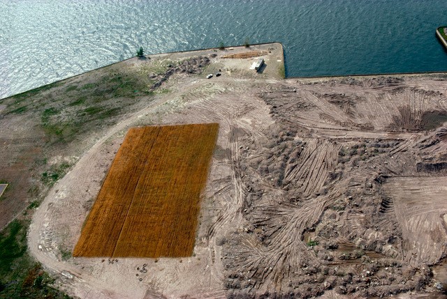 Wheatfield - A Confrontation: Battery Park Landfill, Downtown Manhattan - Aerial View, 1982