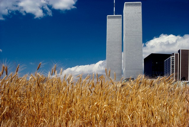Wheatfield - A Confrontation: Battery Park Landfill, Downtown Manhattan - Blue Sky, World Trade Center, 1982