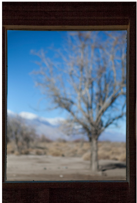 Toyo (Manzanar), View from here series, 2016