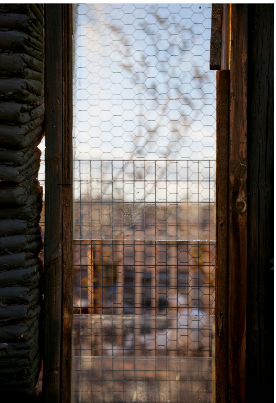 Noah (Joshua Tree), View from here series, 2016