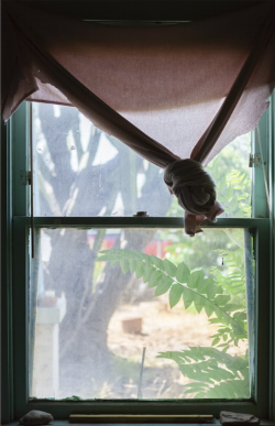 Laura (Aguilar) Los Angeles, View from here series, 2018
